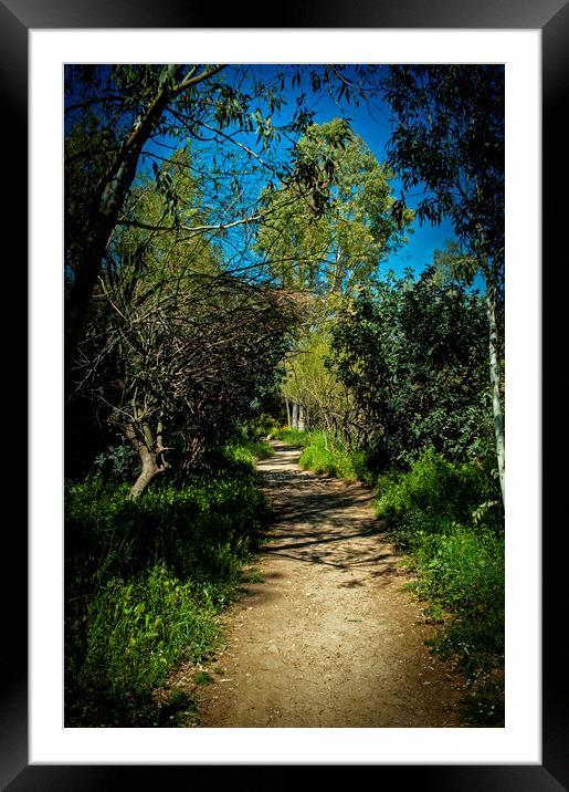 Forest Path Framed Mounted Print by Cassi Moghan