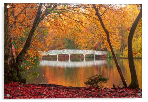 Hartsholme, The White Bridge, Autumn Acrylic by Andrew Scott