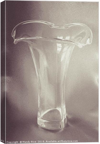 Empty Glass Vase Canvas Print by Mandy Rice