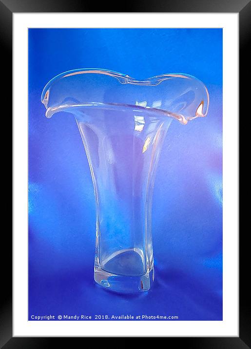 Glass Vase Framed Mounted Print by Mandy Rice