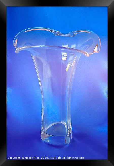 Glass Vase Framed Print by Mandy Rice
