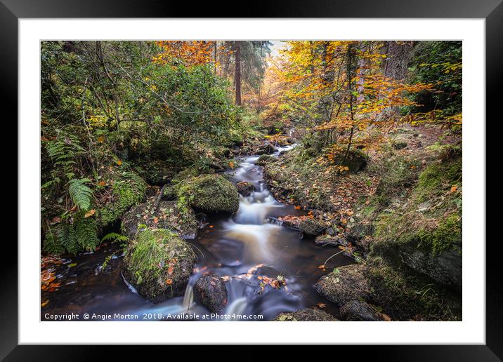 Wyming Brook Autumn Landscape Framed Mounted Print by Angie Morton