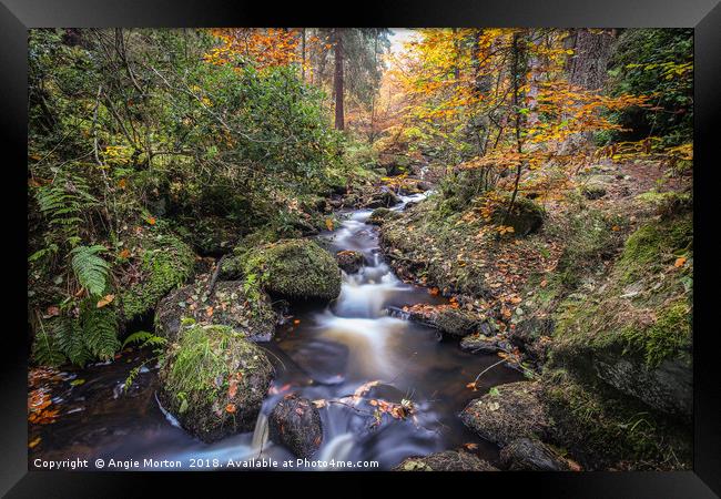 Wyming Brook Autumn Landscape Framed Print by Angie Morton