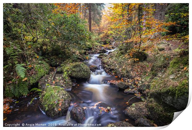 Wyming Brook Autumn Landscape Print by Angie Morton