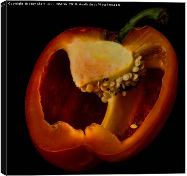 RIPE RED PEPPER Canvas Print by Tony Sharp LRPS CPAGB