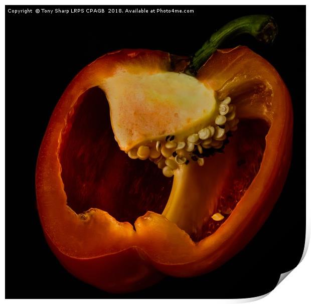 RIPE RED PEPPER Print by Tony Sharp LRPS CPAGB