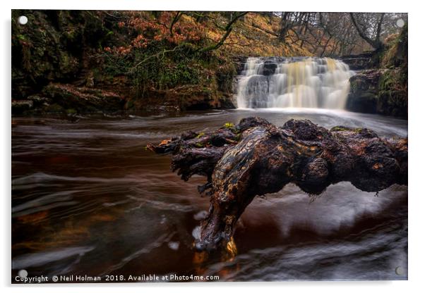 Scwd Tarddiant Waterfall, Brecon Beacons  Acrylic by Neil Holman