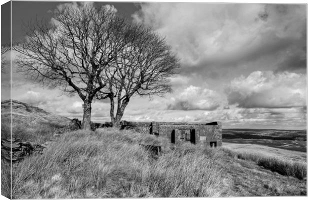 Top Withens Haworth Canvas Print by Diana Mower