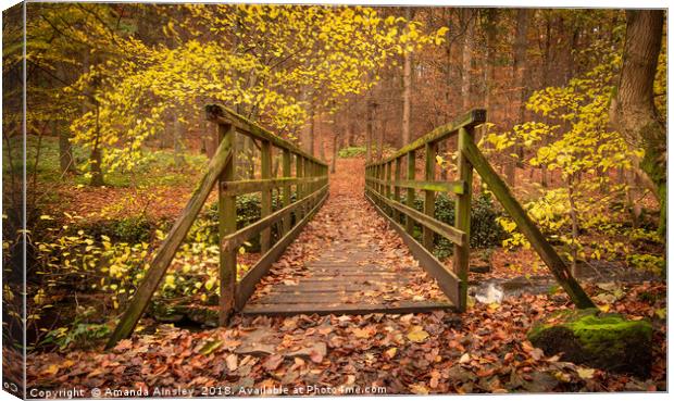Enchantment in the Autumn Woods Canvas Print by AMANDA AINSLEY