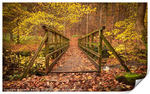 Enchantment in the Autumn Woods Print by AMANDA AINSLEY