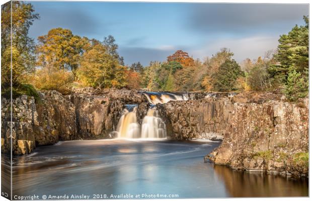 Autumn at Low Force in Teesdale Canvas Print by AMANDA AINSLEY