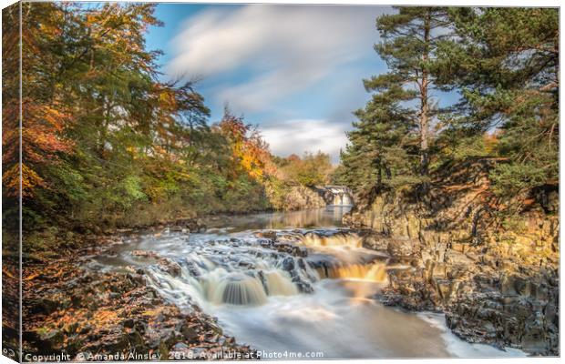 Golden Autumn at Low Force Canvas Print by AMANDA AINSLEY