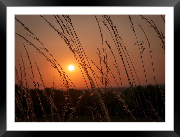 Sunset on Epsom Downs Framed Mounted Print by Colin Evans