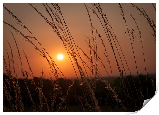 Sunset on Epsom Downs Print by Colin Evans
