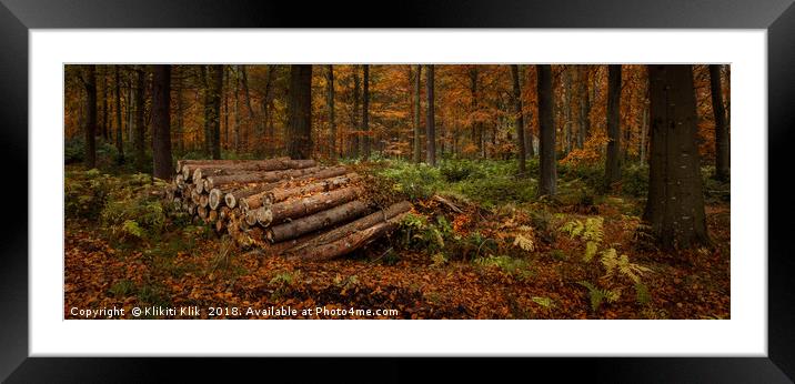 Trees and Logs Framed Mounted Print by Angela H