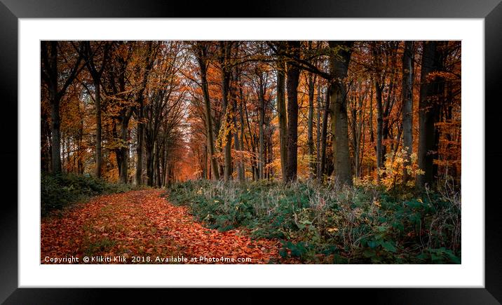 Path through the forest Framed Mounted Print by Angela H