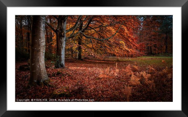 Beautiful trees Framed Mounted Print by Angela H