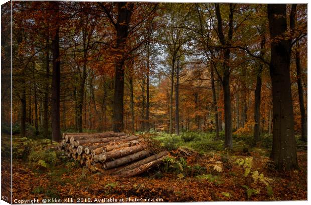 Logs and trees Canvas Print by Angela H
