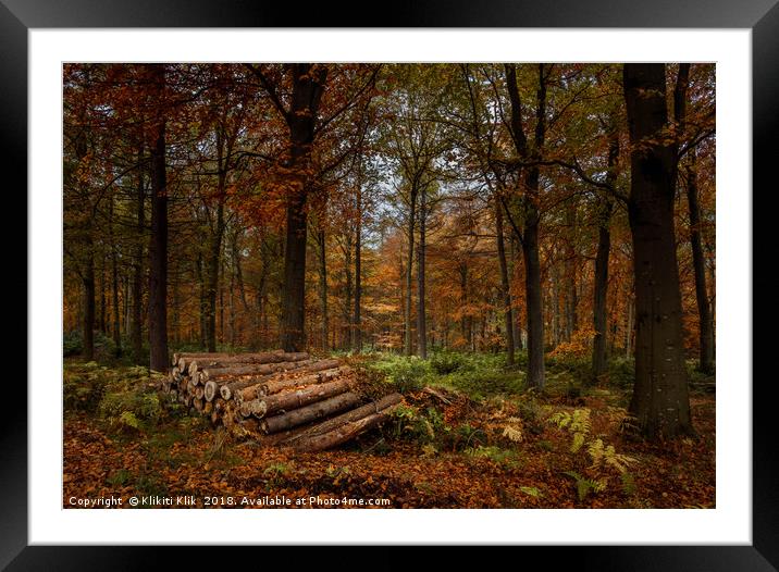 Logs and trees Framed Mounted Print by Angela H