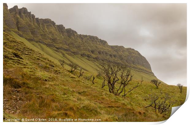 Ben Bulben Mountain Print by David O'Brien