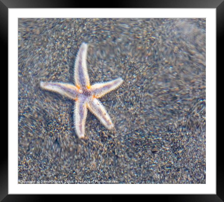 Starfish refracted Framed Mounted Print by David O'Brien