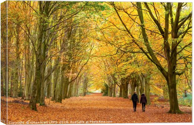 Autumn walk in the woodland Canvas Print by Simon Bratt LRPS