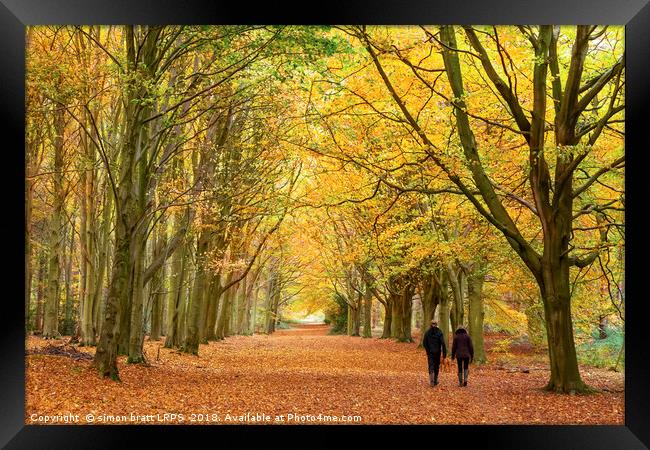 Autumn walk in the woodland Framed Print by Simon Bratt LRPS