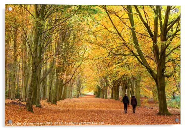 Autumn walk in the woodland Acrylic by Simon Bratt LRPS
