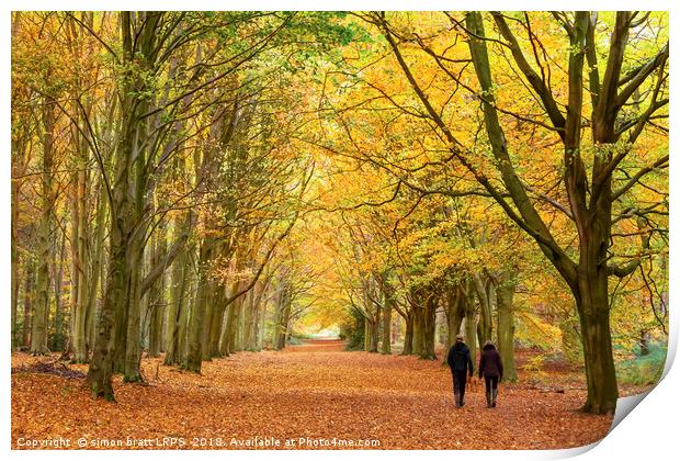 Autumn walk in the woodland Print by Simon Bratt LRPS