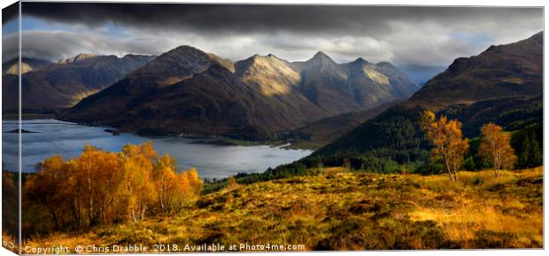 Autumn in Kintail Canvas Print by Chris Drabble