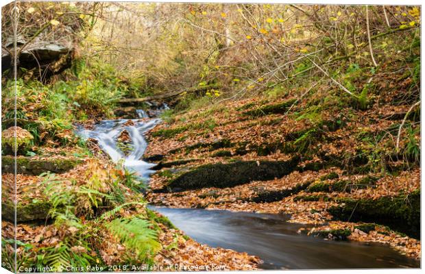 Edradour Burn flowing into Black Spout in autumn Canvas Print by Chris Rabe