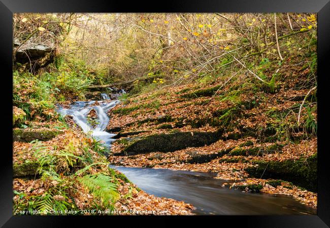 Edradour Burn flowing into Black Spout in autumn Framed Print by Chris Rabe