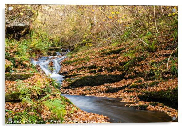Edradour Burn flowing into Black Spout in autumn Acrylic by Chris Rabe