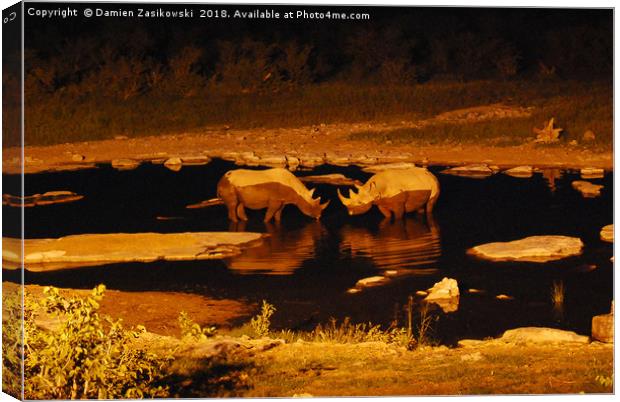 Romantic rhinos taking a cool evening dip Canvas Print by Damien Zasikowski