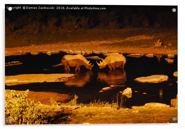 Romantic rhinos taking a cool evening dip Acrylic by Damien Zasikowski