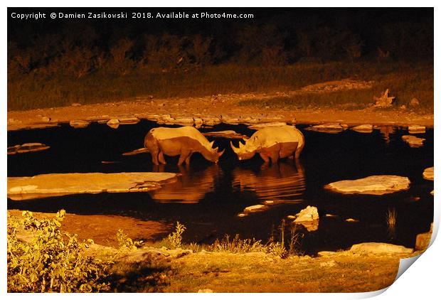 Romantic rhinos taking a cool evening dip Print by Damien Zasikowski