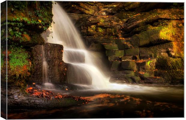 The falls at Neath Abbey Canvas Print by Leighton Collins