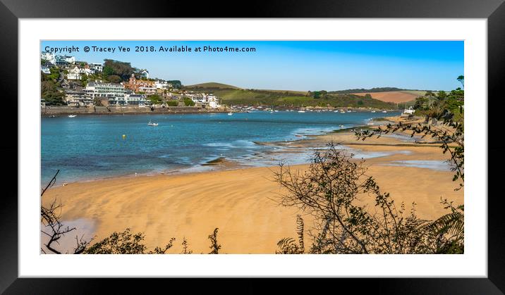 Salcombe Estuary From Mill Bay.  Framed Mounted Print by Tracey Yeo