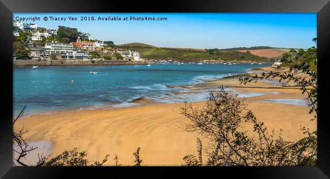 Salcombe Estuary From Mill Bay.  Framed Print by Tracey Yeo
