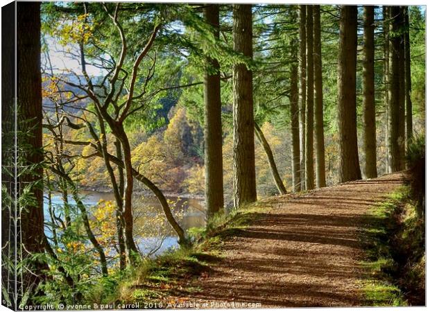 walking along Loch Drunkie in autumn Canvas Print by yvonne & paul carroll