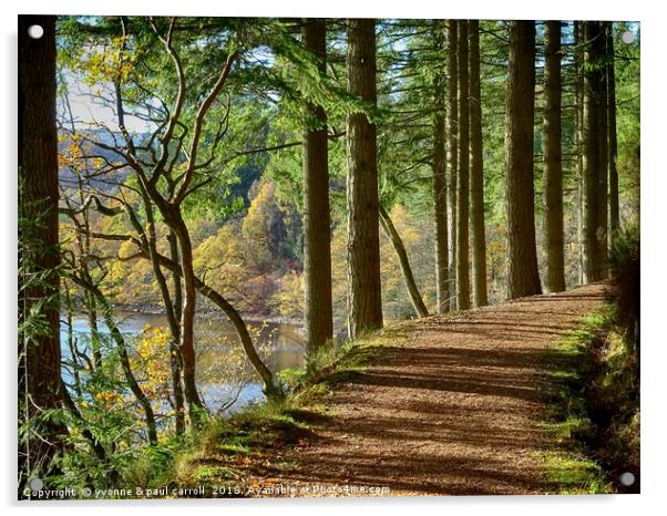 walking along Loch Drunkie in autumn Acrylic by yvonne & paul carroll