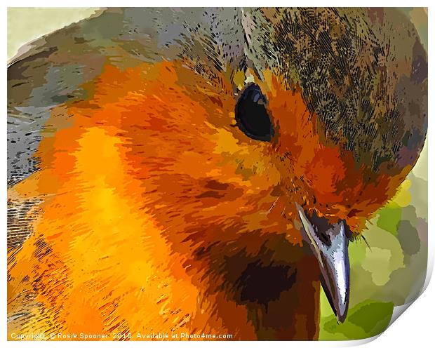A beautiful close up view of a robin  Print by Rosie Spooner