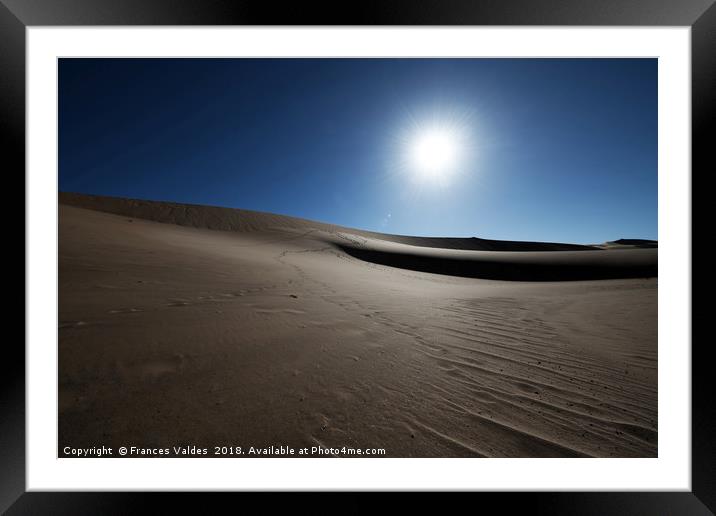 Evening sun in the desert Framed Mounted Print by Frances Valdes
