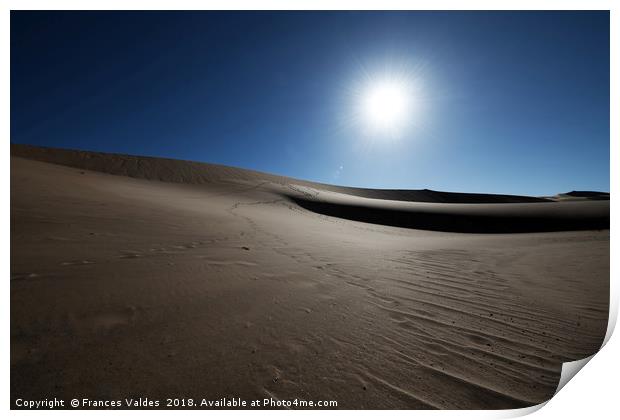 Evening sun in the desert Print by Frances Valdes