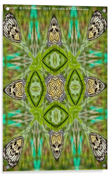 Tree Nymph kaleidoscope Acrylic by Chris Thaxter