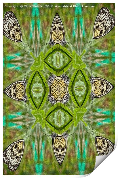 Tree Nymph kaleidoscope Print by Chris Thaxter