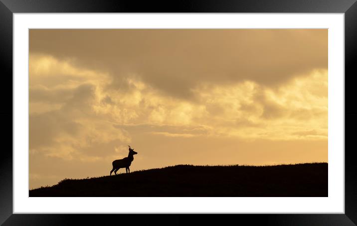 Strathglass Silhouette Framed Mounted Print by Macrae Images