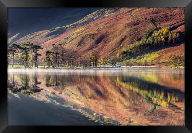 The Buttermere Pines Framed Print by Paul Andrews