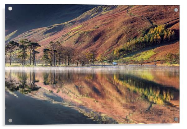 The Buttermere Pines Acrylic by Paul Andrews