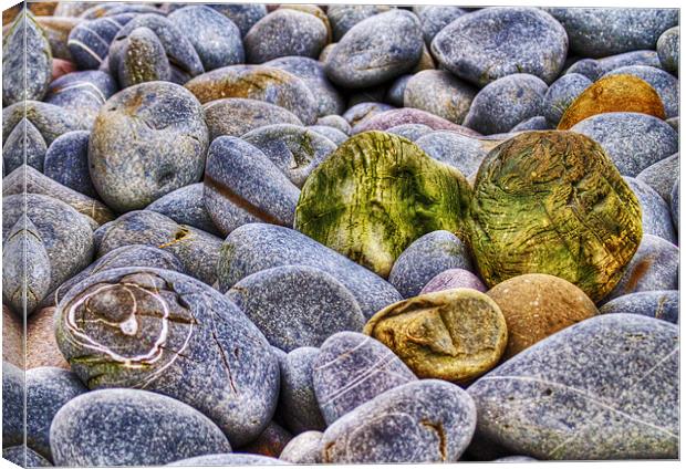 Pebbles and Rocks Canvas Print by Mike Gorton